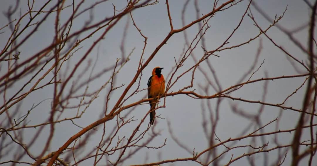 7 kultowych fryzur z najpopularniejszych bajek kinowych