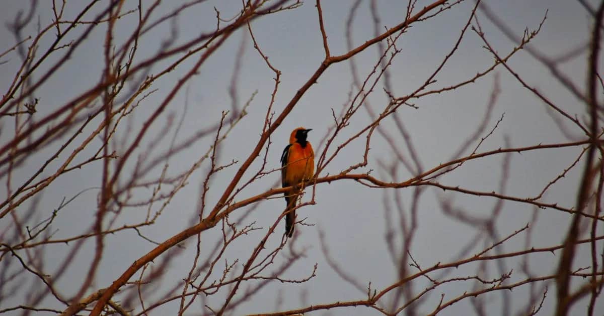 7 kultowych fryzur z najpopularniejszych bajek kinowych