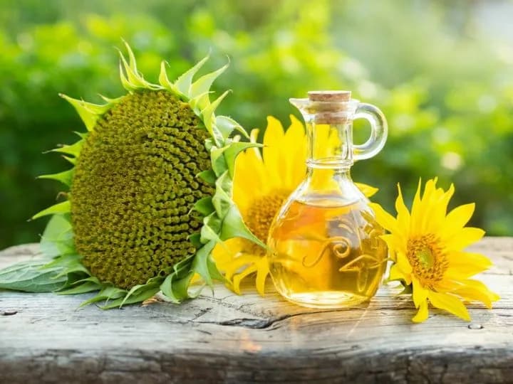 Jak stosować olej słonecznikowy na włosy - 5 skutecznych sposobów użycia