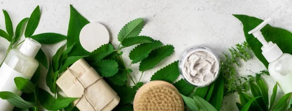 Naturalna pielęgnacja: Sekrety zdrowej skóry i domowych kosmetyków