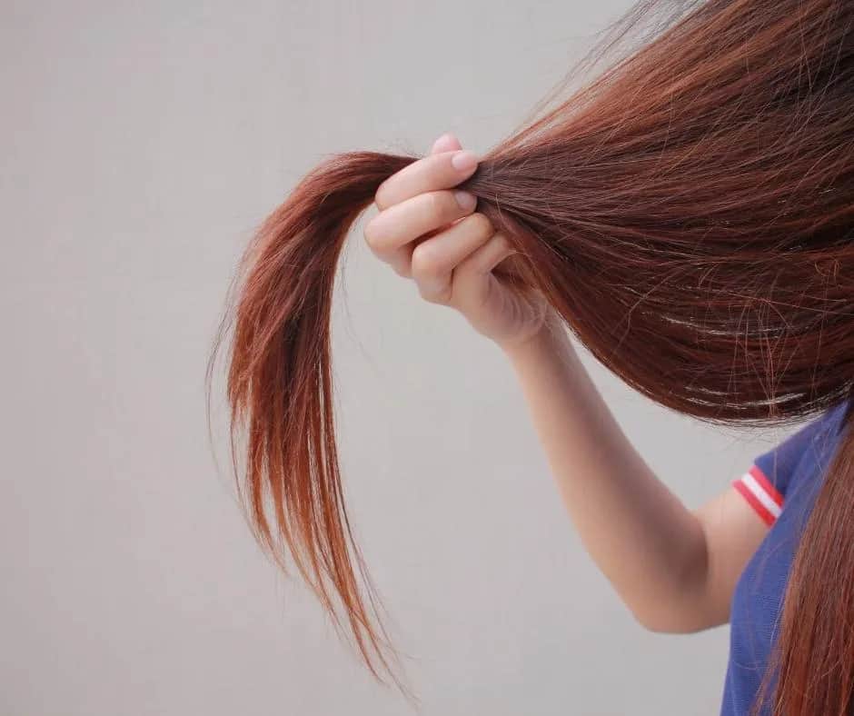 Wszystko co musisz wiedzieć o włosach - najlepsze porady blogów włosowych